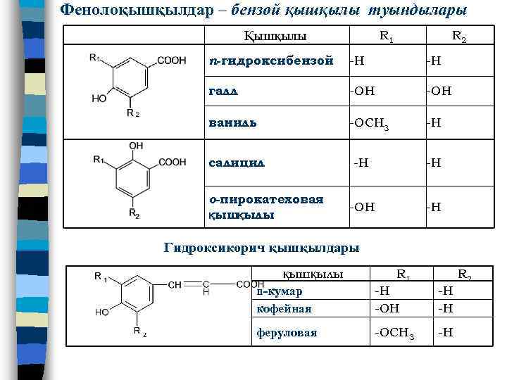 Фенолоқышқылдар – бензой қышқылы туындылары Қышқылы R 1 R 2 n-гидроксибензой -Н -Н галл