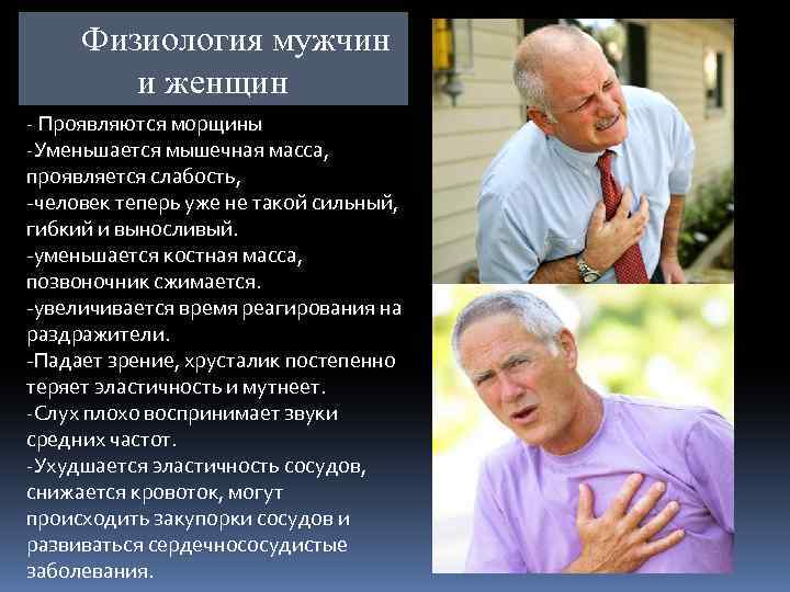 Физиология мужчин и женщин - Проявляются морщины -Уменьшается мышечная масса, проявляется слабость, -человек теперь