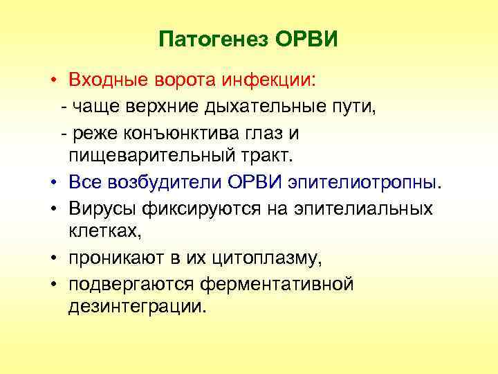 Патогенез ОРВИ • Входные ворота инфекции: - чаще верхние дыхательные пути, - реже конъюнктива