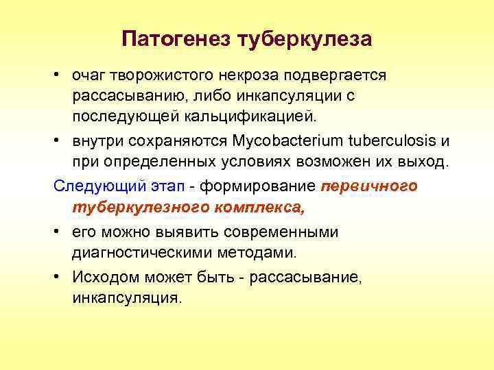 Патогенез туберкулеза • очаг творожистого некроза подвергается рассасыванию, либо инкапсуляции с последующей кальцификацией. •