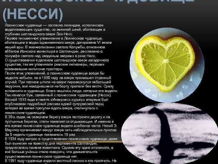 ЛОХНЕССКОЕ ЧУДОВИЩЕ (НЕССИ) Лохнесское чудовище — согласно легендам, исполинское водоплавающее существо, со змеиной шеей,