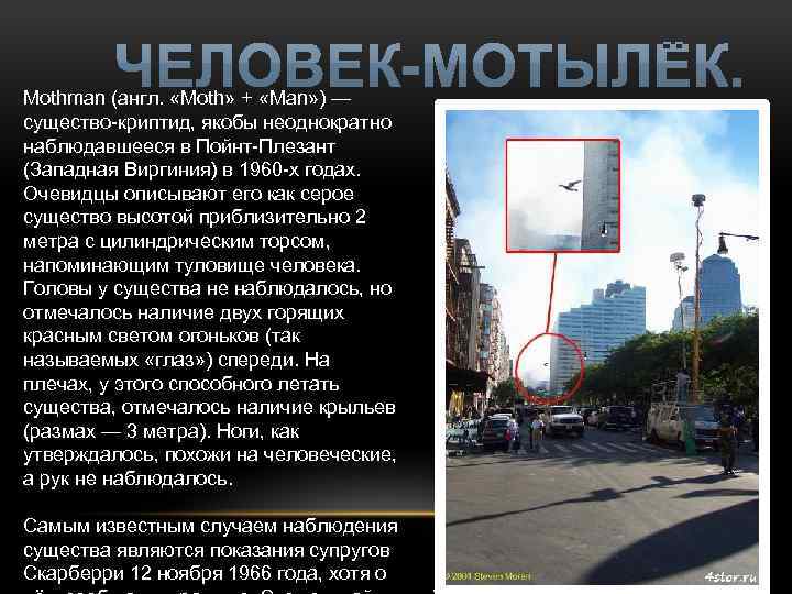 Mothman (англ. «Moth» + «Man» ) — существо-криптид, якобы неоднократно наблюдавшееся в Пойнт-Плезант (Западная