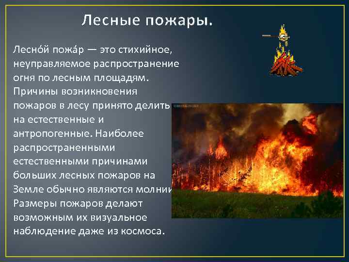 Лесные пожары. Лесно й пожа р — это стихийное, неуправляемое распространение огня по лесным