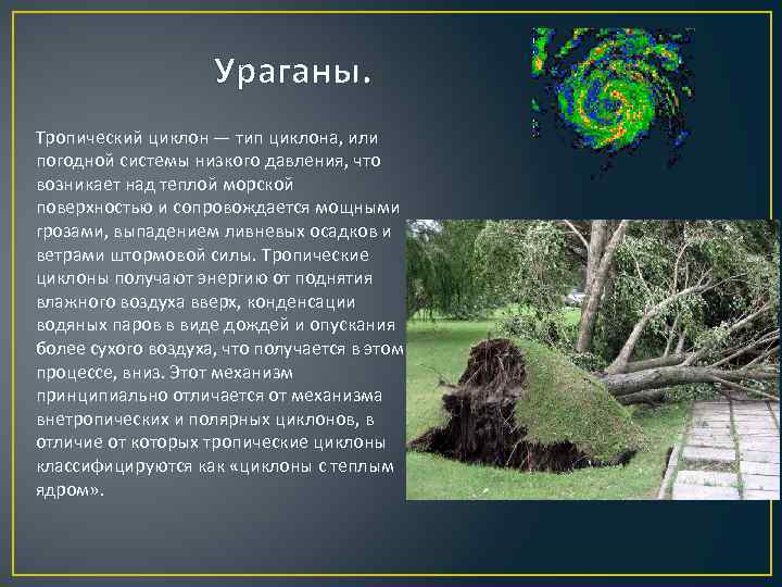 Ураганы. Тропический циклон — тип циклона, или погодной системы низкого давления, что возникает над