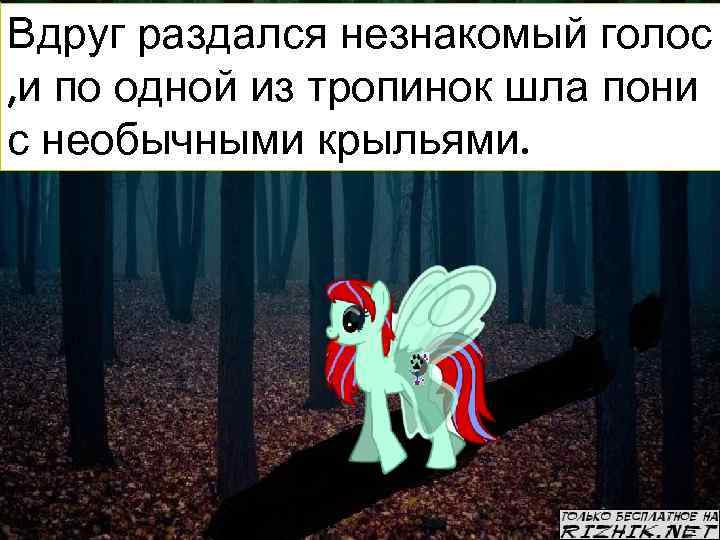 Вдруг раздался незнакомый голос , и по одной из тропинок шла пони с необычными
