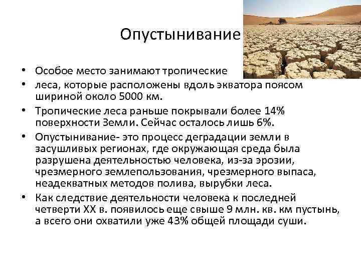 Опустынивание • Особое место занимают тропические • леса, которые расположены вдоль экватора поясом шириной