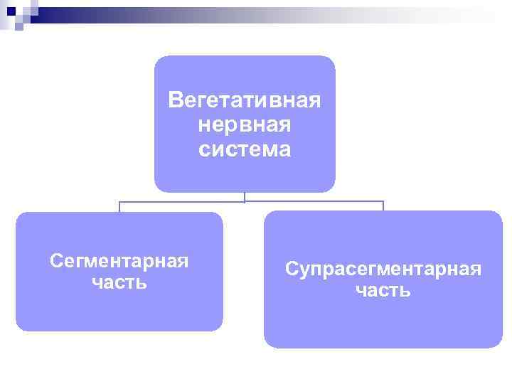 Вегетативная нервная система Сегментарная часть Супрасегментарная часть 