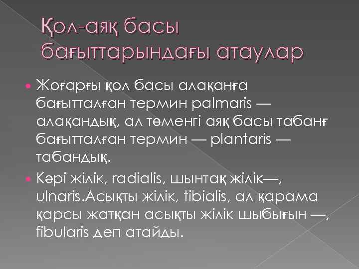Қол-аяқ басы бағыттарындағы атаулар Жоғарғы қол басы алақанға бағытталған термин palmaris — алақандық, ал