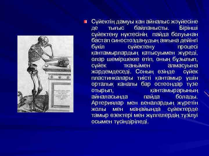 Сүйектің дамуы қан айналыс жэүйесіне де тығыс байланысты. Бірінші сүйектену нүктесінің пайда болуынан бастап