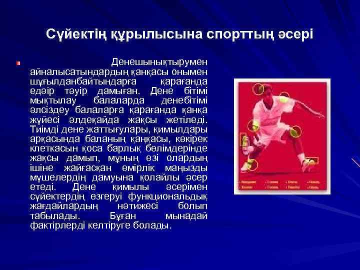 Сүйектің құрылысына спорттың әсері Денешынықтырумен айналысатындардың қанқасы онымен шұғылданбайтындарға қарағанда едәір тәуір дамыған. Дене