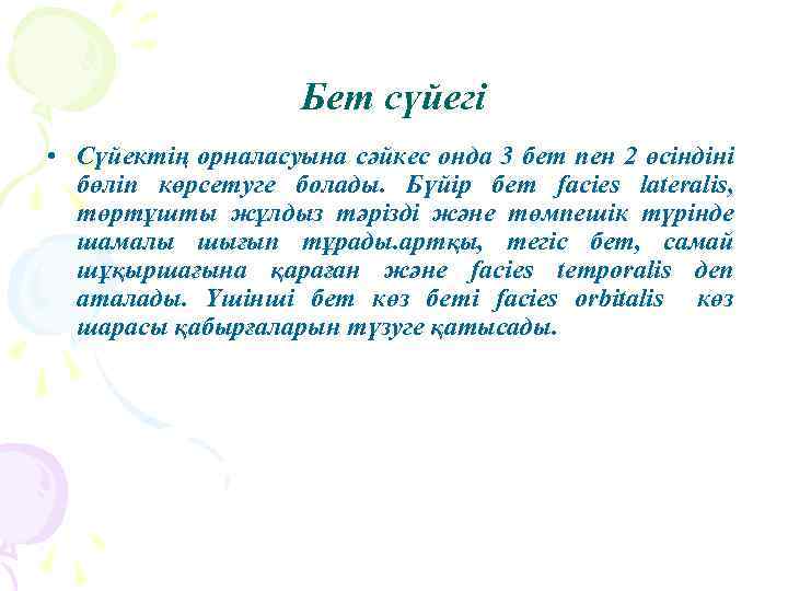 Бет сүйегі • Сүйектің орналасуына сәйкес онда 3 бет пен 2 өсіндіні бөліп көрсетуге