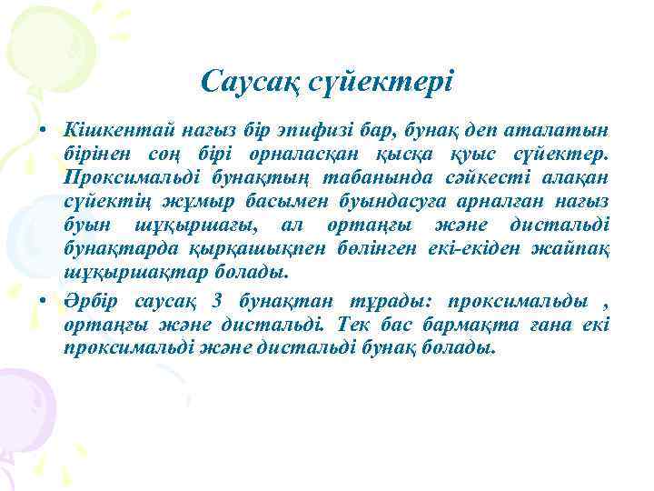 Саусақ сүйектері • Кішкентай нағыз бір эпифизі бар, бунақ деп аталатын бірінен соң бірі