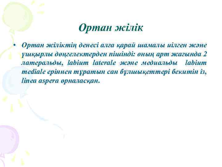 Ортан жілік • Ортан жіліктің денесі алға қарай шамалы иілген және үшқырлы дөңгелектерден пішінді: