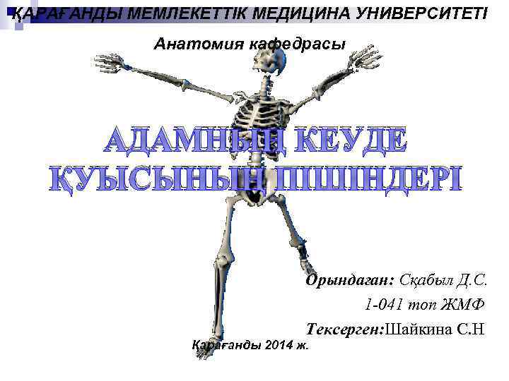 ҚАРАҒАНДЫ МЕМЛЕКЕТТІК МЕДИЦИНА УНИВЕРСИТЕТІ Анатомия кафедрасы АДАМНЫҢ КЕУДЕ ҚУЫСЫНЫҢ ПІШІНДЕРІ Орындаған: Сқабыл Д. С.