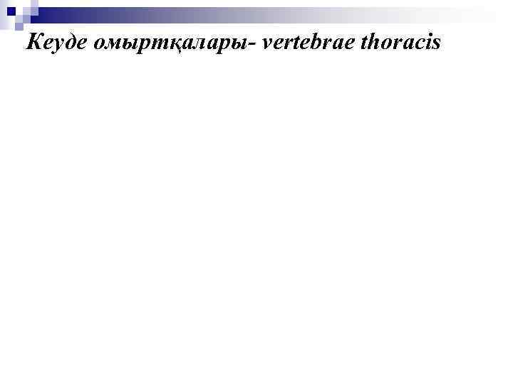 Кеуде омыртқалары- vertebrae thoracis 