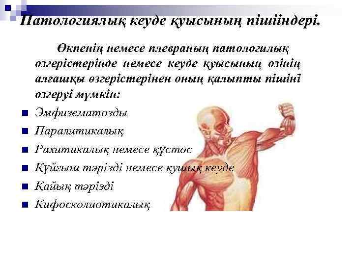 Патологиялық кеуде қуысының пішііндері. n n n Өкпенің немесе плевраның патологилық өзгерістерінде немесе кеуде