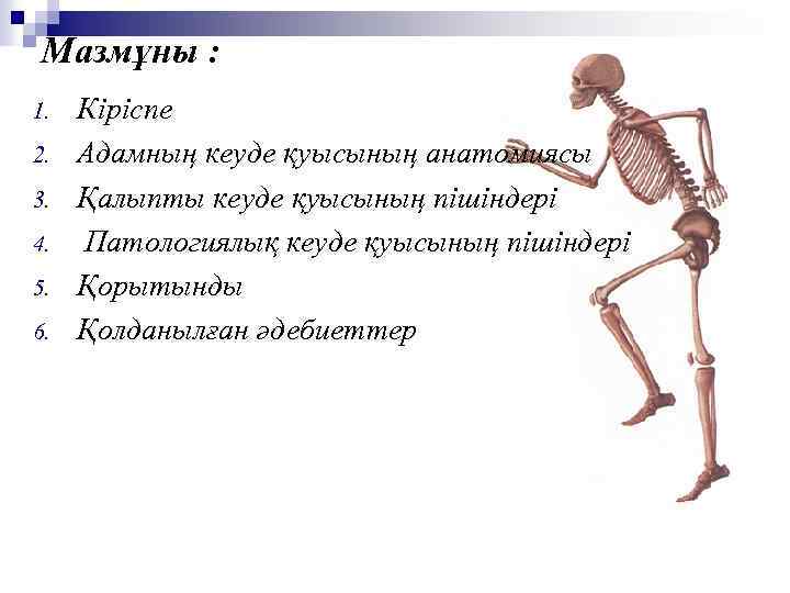 Мазмұны : 1. 2. 3. 4. 5. 6. Кіріспе Адамның кеуде қуысының анатомиясы Қалыпты
