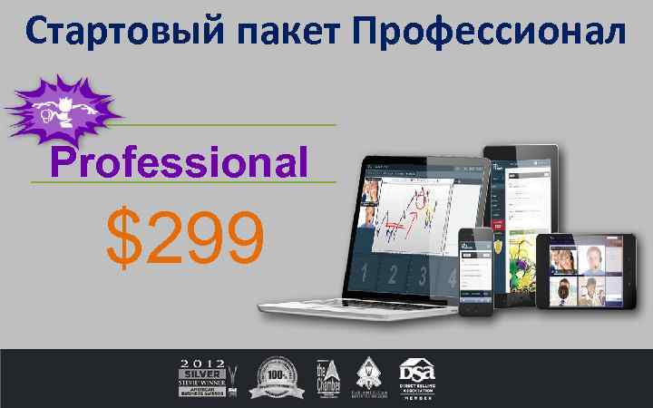 Стартовый пакет Профессионал Professional $299 