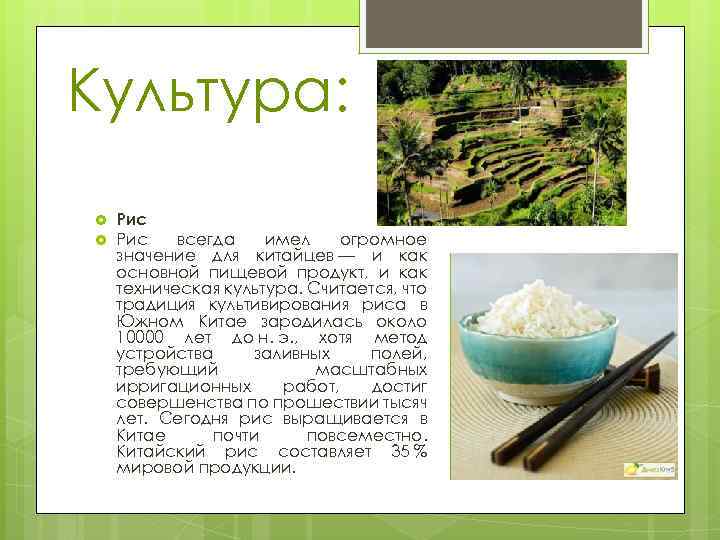 Культура: Рис всегда имел огромное значение для китайцев — и как основной пищевой продукт,