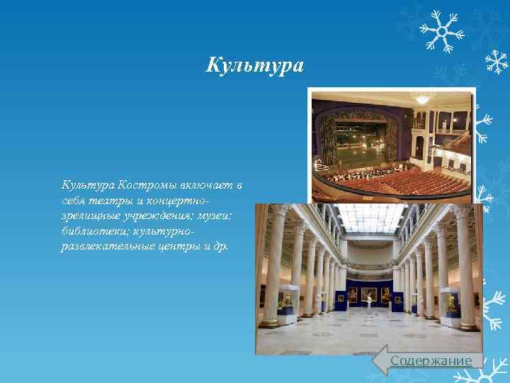 Культура Костромы включает в себя театры и концертнозрелищные учреждения; музеи; библиотеки; культурноразвлекательные центры и