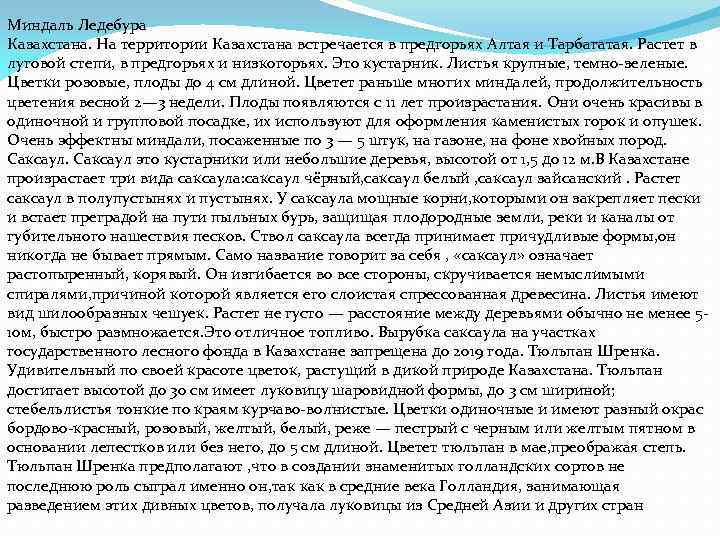 Миндаль Ледебура Казахстана. На территории Казахстана встречается в предгорьях Алтaя и Тарбагатaя. Растет в