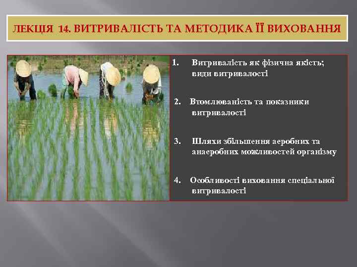 ЛЕКЦІЯ 14. ВИТРИВАЛІСТЬ ТА МЕТОДИКА ЇЇ ВИХОВАННЯ 1. Витривалість як фізична якість; види витривалості