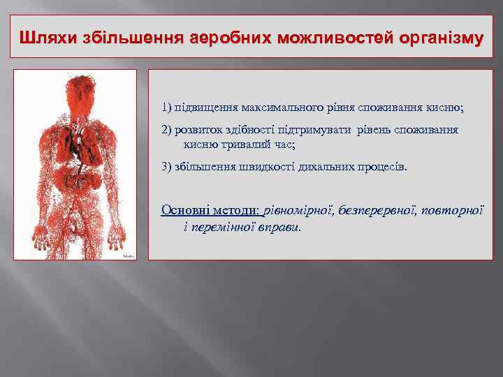 Шляхи збільшення аеробних можливостей організму 1) підвищення максимального рівня споживання кисню; 2) розвиток здібності