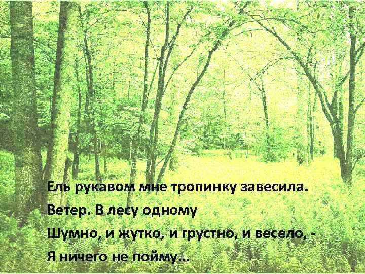 Презентация б заходер что такое стихи особенности поэтического жанра 3 класс перспектива