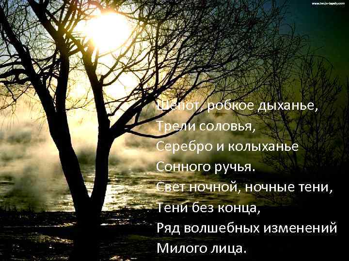 Шёпот, робкое дыханье, Трели соловья, Серебро и колыханье Сонного ручья. Свет ночной, ночные тени,