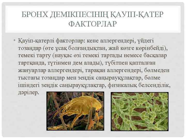 БРОНХ ДЕМІКПЕСІНІҢ ҚАУІП-ҚАТЕР ФАКТОРЛАР • Қауіп-қатерлі факторлар: кене аллергендері, үйдегі тозаңдар (өте ұсақ болғандықтан,