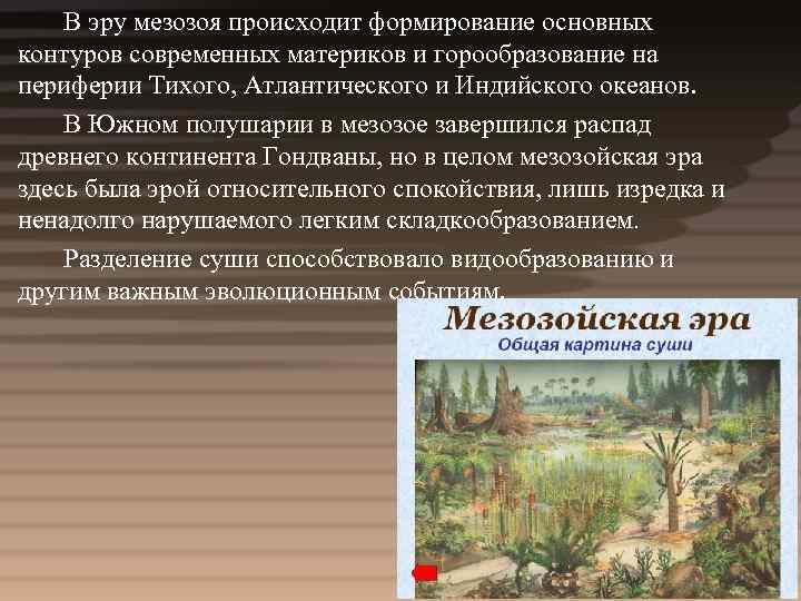 В эру мезозоя происходит формирование основных контуров современных материков и горообразование на периферии Тихого,