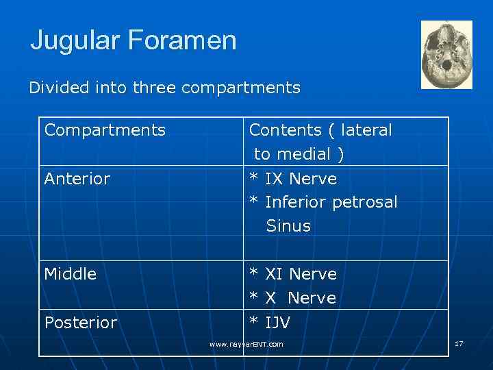 Jugular Foramen Divided into three compartments Compartments Anterior Middle Posterior Contents ( lateral to