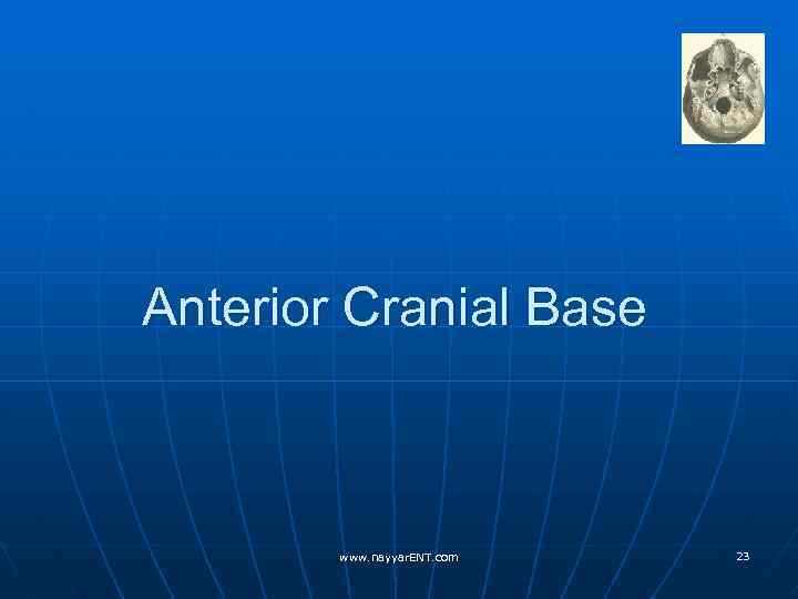 Anterior Cranial Base www. nayyar. ENT. com 23 