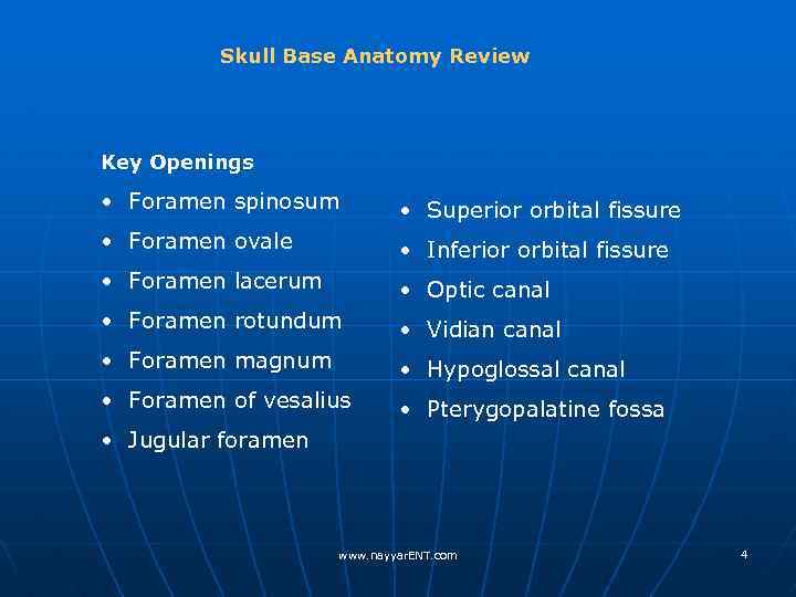 Skull Base Anatomy Review Key Openings • Foramen spinosum • Superior orbital fissure •