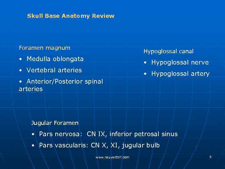 Skull Base Anatomy Review Foramen magnum Hypoglossal canal • Medulla oblongata • Hypoglossal nerve