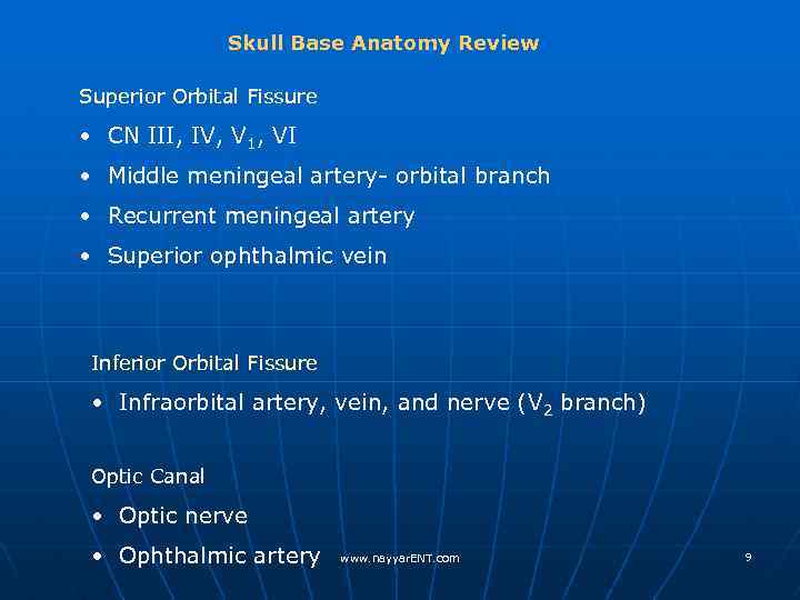 Skull Base Anatomy Review Superior Orbital Fissure • CN III, IV, V 1, VI