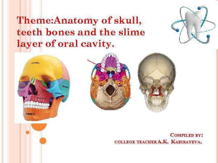 Theme: Anatomy of skull, teeth bones and the slime layer of oral cavity. COMPILED