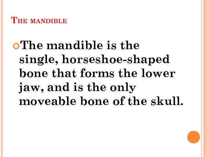 THE MANDIBLE The mandible is the single, horseshoe-shaped bone that forms the lower jaw,