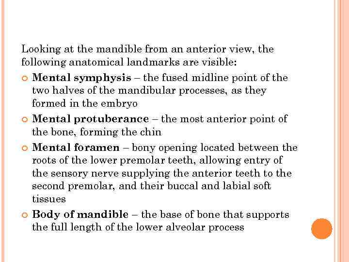 Looking at the mandible from an anterior view, the following anatomical landmarks are visible: