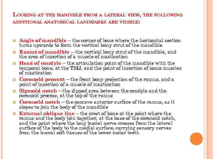 LOOKING AT THE MANDIBLE FROM A LATERAL VIEW, THE FOLLOWING ADDITIONAL ANATOMICAL LANDMARKS ARE