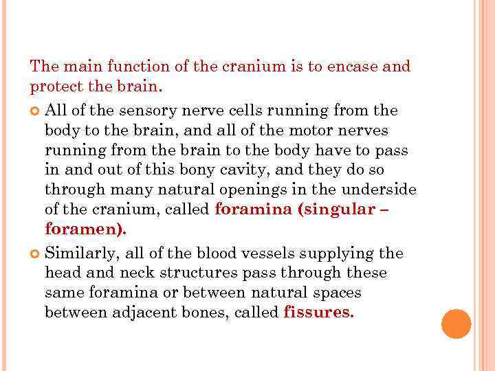 The main function of the cranium is to encase and protect the brain. All