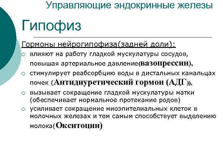 Управляющие эндокринные железы Гипофиз Гормоны нейрогипофиза(задней доли): ¡ влияют на работу гладкой мускулатуры сосудов,