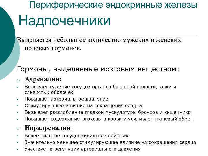 Периферические эндокринные железы Надпочечники Выделяется небольшое количество мужских и женских половых гормонов. Гормоны, выделяемые