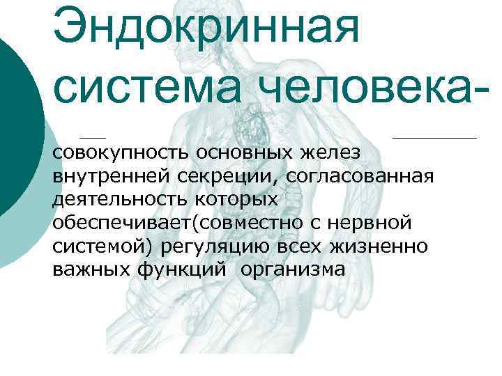 Эндокринная система человекасовокупность основных желез внутренней секреции, согласованная деятельность которых обеспечивает(совместно с нервной системой)