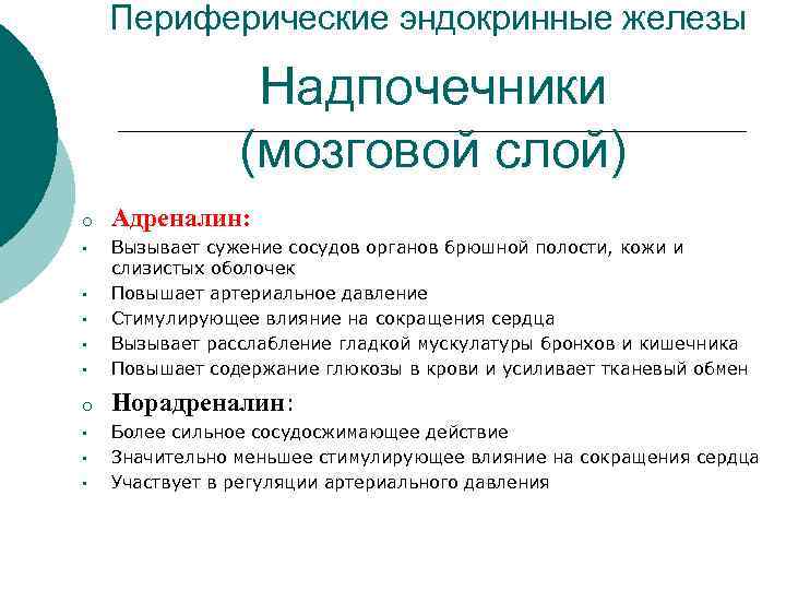 Периферические эндокринные железы Надпочечники (мозговой слой) o Адреналин: • Вызывает сужение сосудов органов брюшной