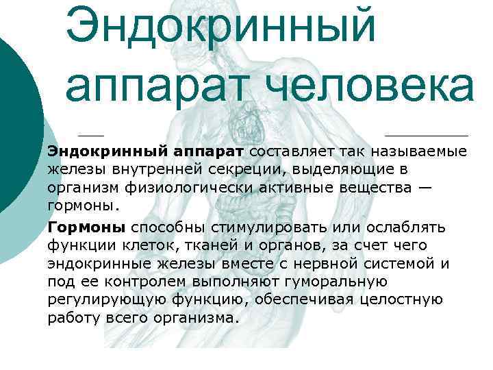 Эндокринный аппарат человека Эндокринный аппарат составляет так называемые железы внутренней секреции, выделяющие в организм