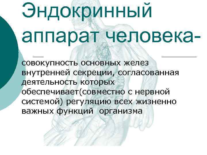 Эндокринный аппарат человекасовокупность основных желез внутренней секреции, согласованная деятельность которых обеспечивает(совместно с нервной системой)