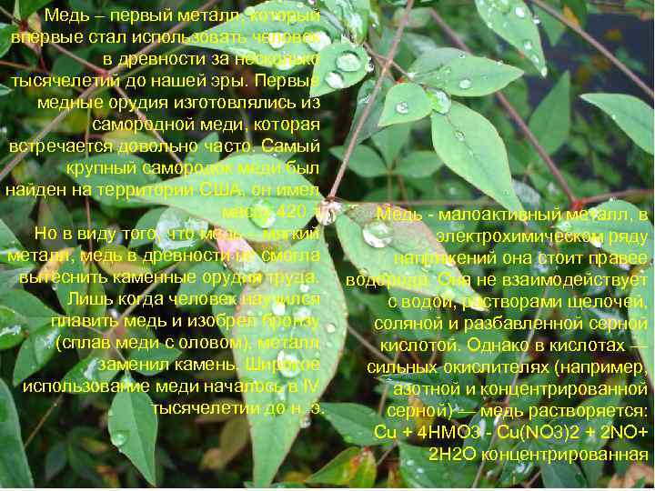 Медь – первый металл, который впервые стал использовать человек в древности за несколько тысячелетий