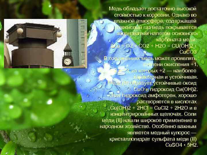 Медь обладает достаточно высокой стойкостью к коррозии. Однако во влажной атмосфере, содержащей углекислый газ