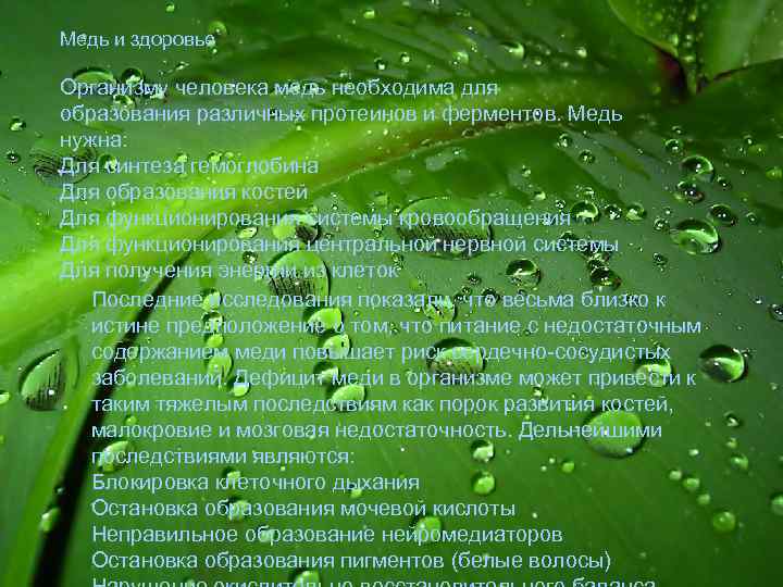 Медь и здоровье Организму человека медь необходима для образования различных протеинов и ферментов. Медь